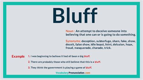 referm bluff|REFER definition in American English .